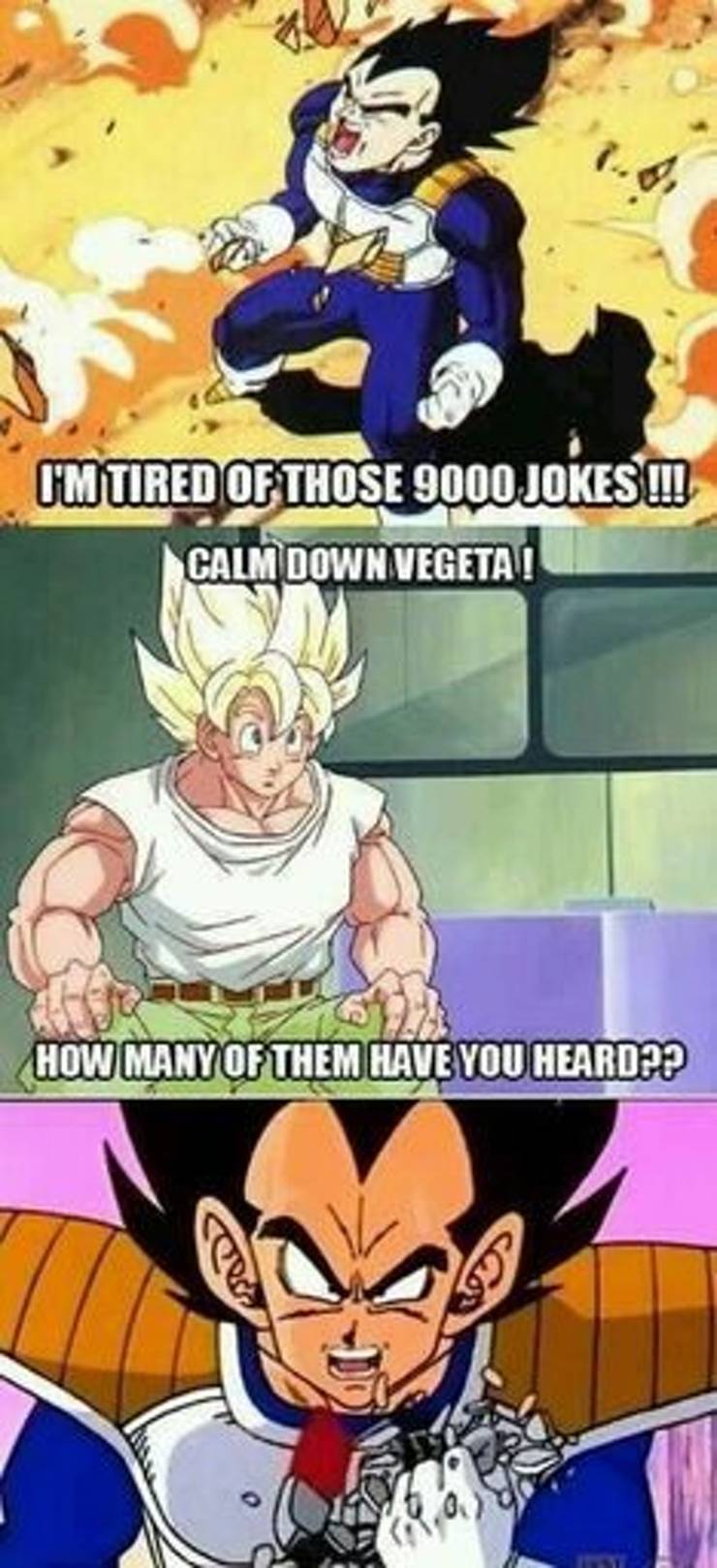 Dragon Ball 16 Hilarious Goku Vs Vegeta Memes Dragon Ball 16 Hilarious Goku Vs Vegeta Memes